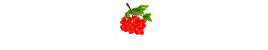 Лопатинский сад