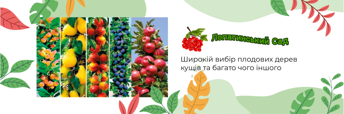 50 rokiv